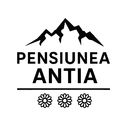 Cazare Durau – Pensiunea Antia