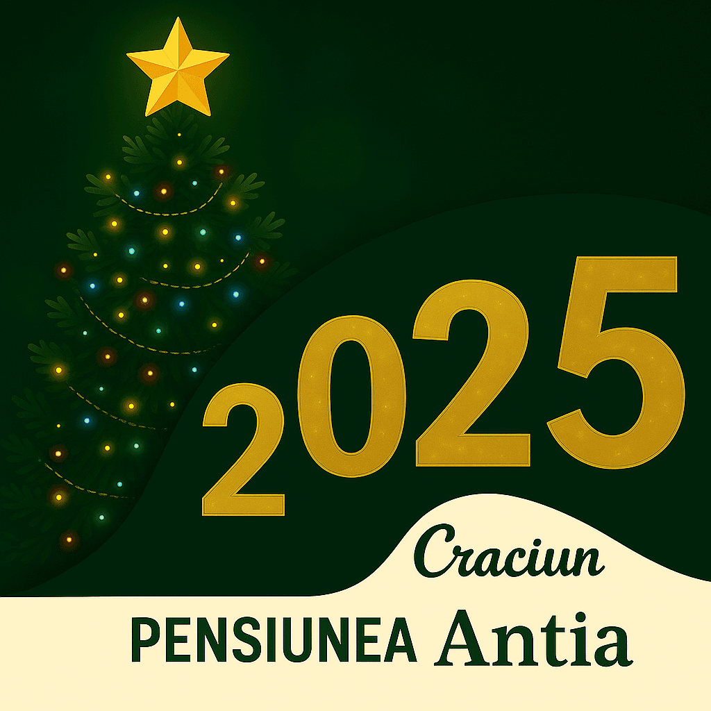 Craciun 2025 pensiunea Antia Durău